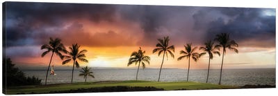 Hawaii Sunset II Canvas Art Print - Dennis Frates