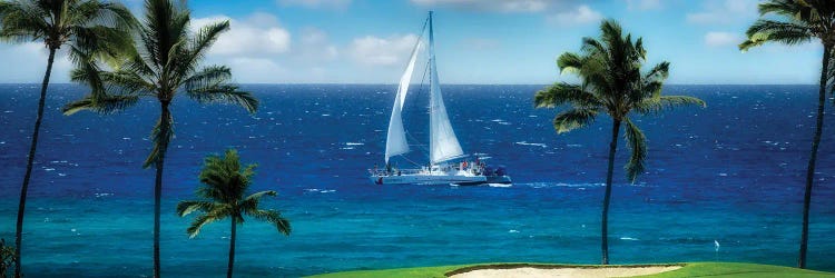 Tropical Sailing II