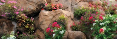 Floral Wall by Dennis Frates canvas print