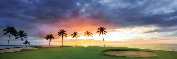 Tropical Golf Sunset by Dennis Frates wall art
