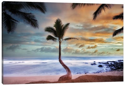 Palm Sunrise II Canvas Art Print - Beach Sunrise & Sunset Art