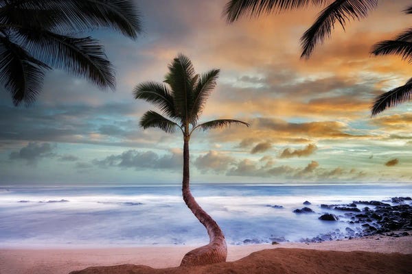 Coastlines: Palm Sunrise II by Dennis Frates