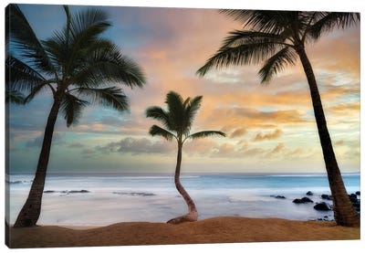 Palm Sunrise III Canvas Art Print - Tropical Beach Art