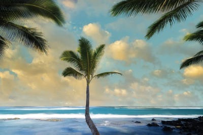 Palm Sunrise I by Dennis Frates canvas print