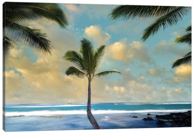 Palm Sunrise I Canvas Art Print - Tropical Beach Art