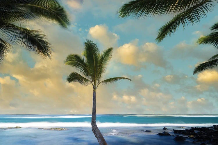 Palm Sunrise I by Dennis Frates wall art