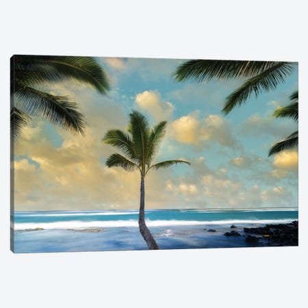 Palm Sunrise I Canvas Print #DEN668} by Dennis Frates Canvas Artwork