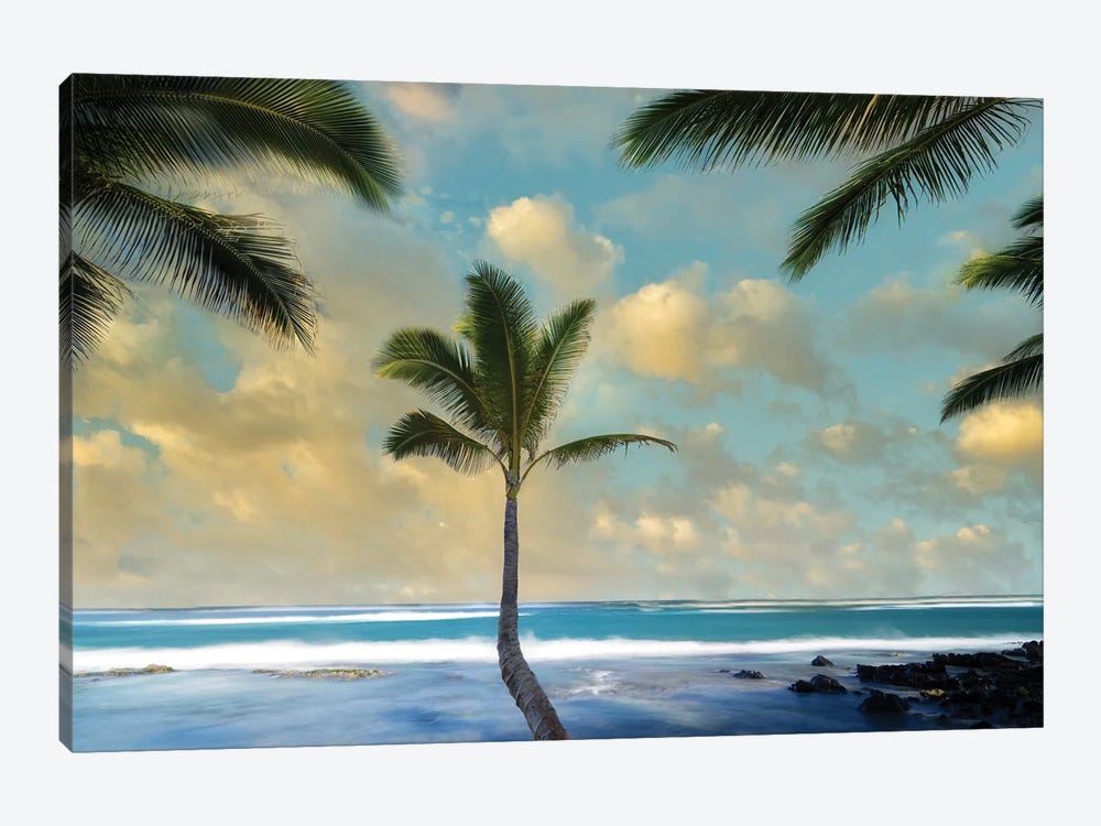 Palm Sunrise I by Dennis Frates 1-piece Canvas Wall Art
