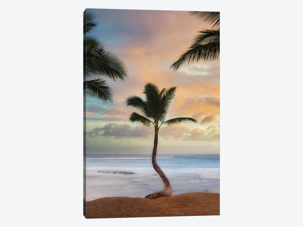 Palm Sunrise V by Dennis Frates 1-piece Canvas Art Print