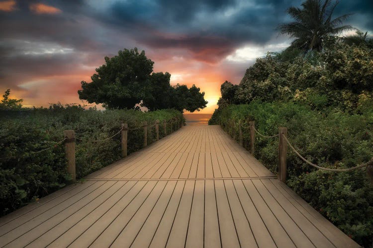 Path To Tropics II by Dennis Frates wall art