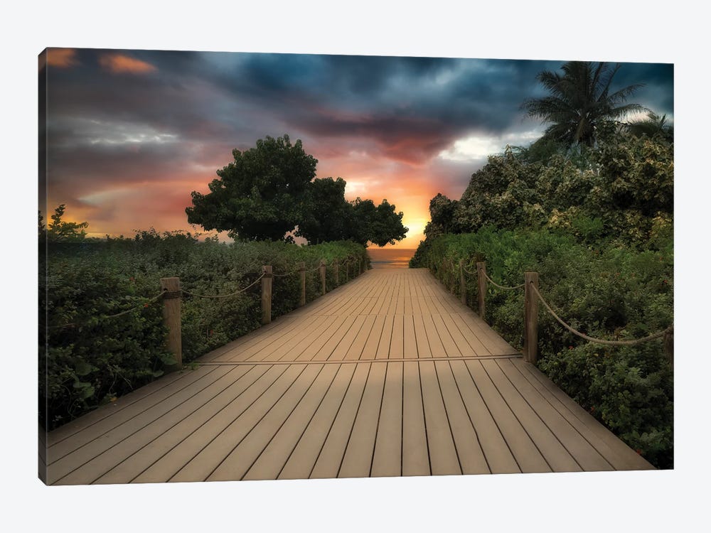 Path To Tropics II by Dennis Frates 1-piece Canvas Artwork