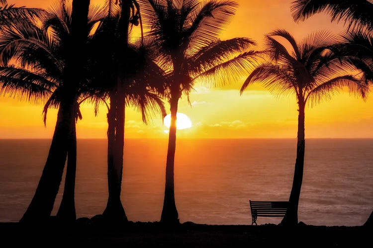 Sunset VIew by Dennis Frates wall art
