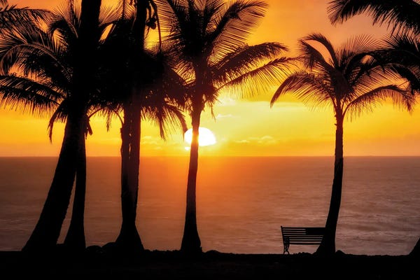 Tropical Beaches: Sunset VIew by Dennis Frates