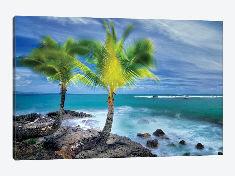 Tropical Together I by Dennis Frates 1-piece Canvas Print