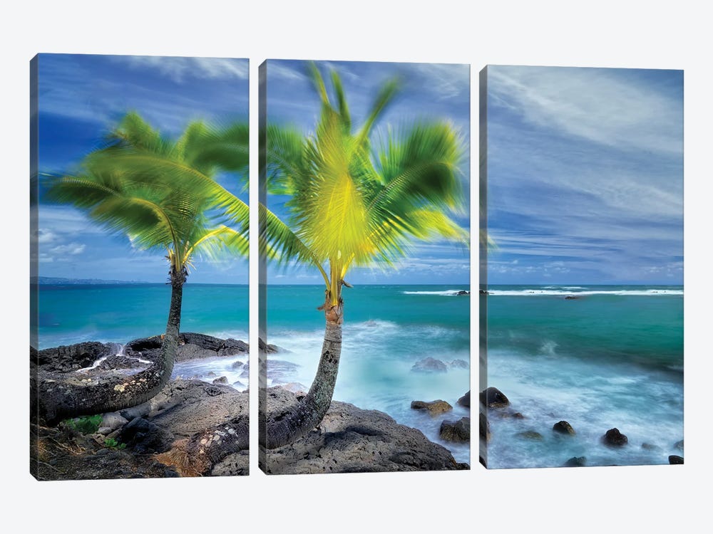 Tropical Together I by Dennis Frates 3-piece Canvas Art Print