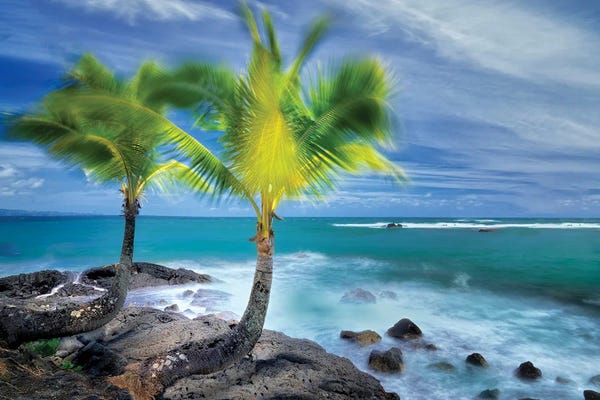 Tropical Beaches: Tropical Together I by Dennis Frates