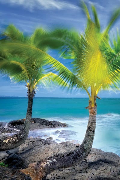 Tropical Together II by Dennis Frates canvas print