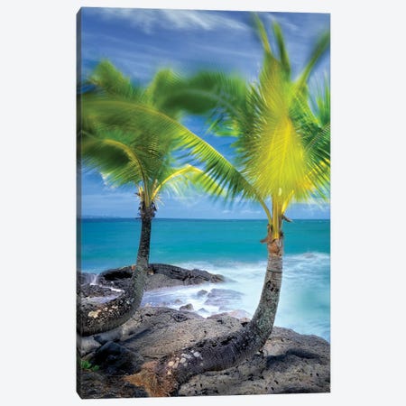 Tropical Together II Canvas Print #DEN699} by Dennis Frates Canvas Art Print