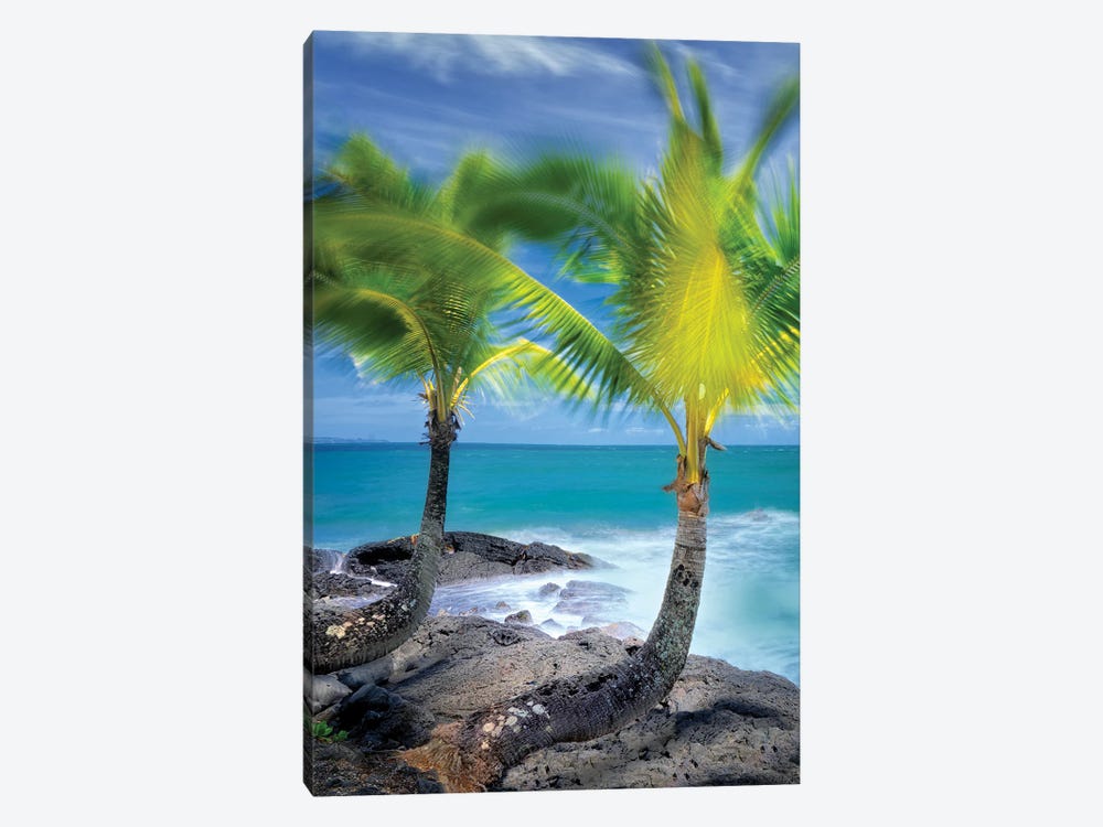 Tropical Together II by Dennis Frates 1-piece Canvas Wall Art