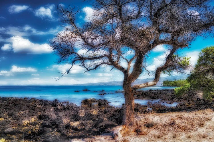 Hawaiian Coast by Dennis Frates wall art