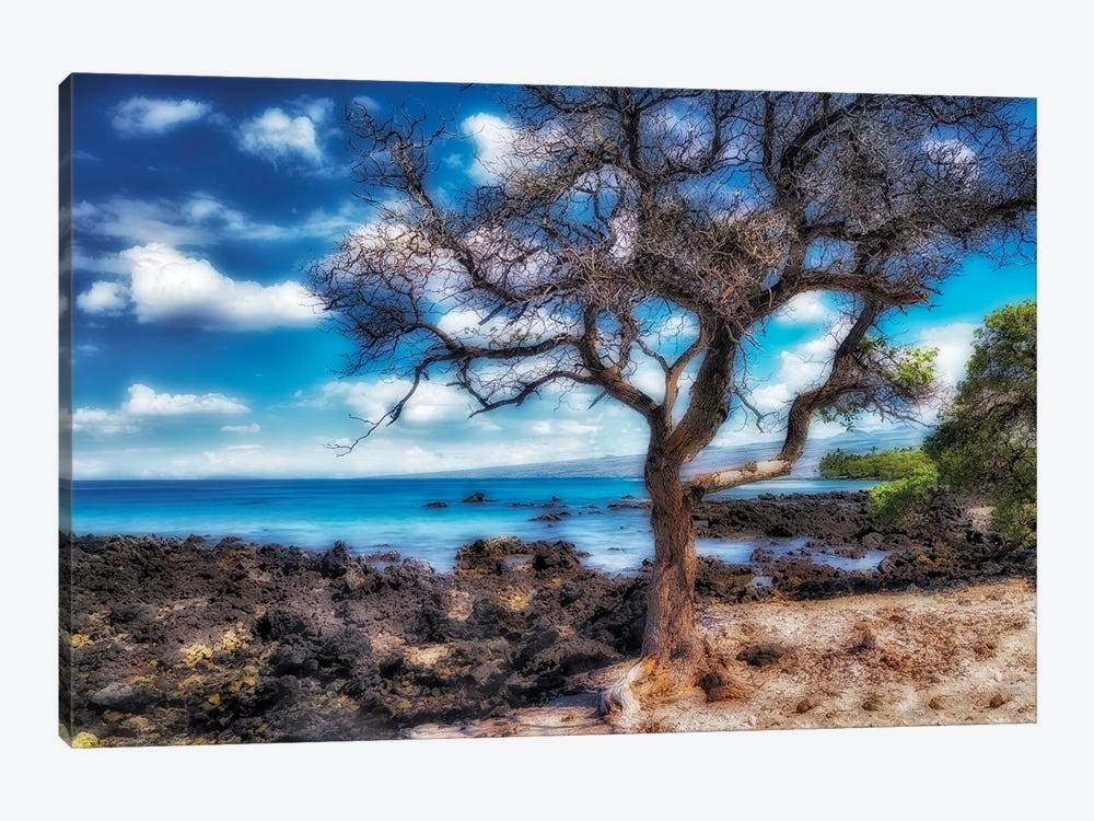 Hawaiian Coast by Dennis Frates 1-piece Art Print