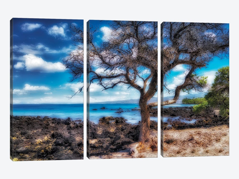 Hawaiian Coast by Dennis Frates 3-piece Canvas Art Print