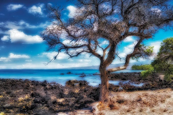 Hawaiian Coast