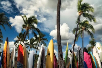 Surfboards by Dennis Frates canvas print