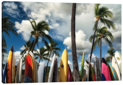 Surfboards Canvas Art Print - Palm Tree Art