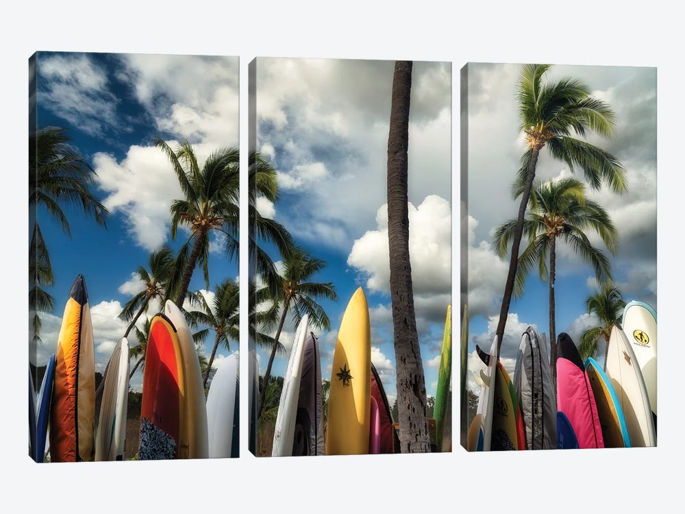 Surfboards by Dennis Frates 3-piece Art Print