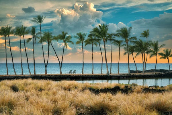 Tropical Beaches: Aa Beach by Dennis Frates