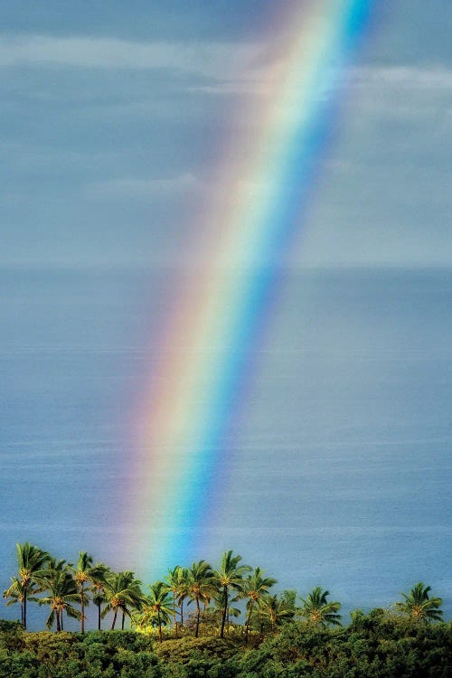 Hawaiian Rainbow II by Dennis Frates wall art