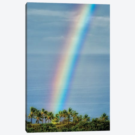 Hawaiian Rainbow II Canvas Print #DEN715} by Dennis Frates Canvas Print