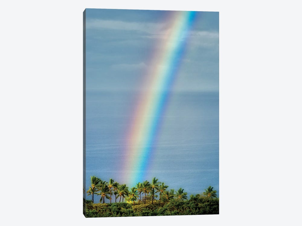 Hawaiian Rainbow II by Dennis Frates 1-piece Canvas Print