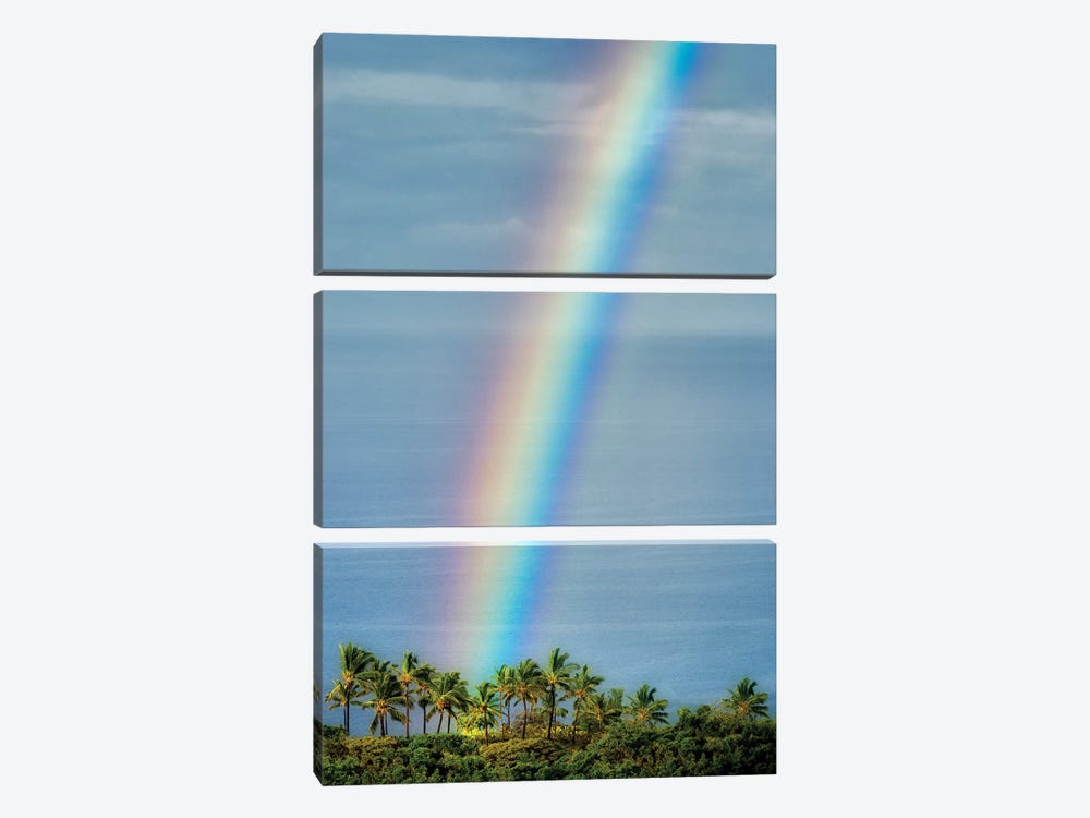 Hawaiian Rainbow II by Dennis Frates 3-piece Canvas Art Print