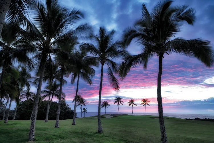 Golf Sunset IV by Dennis Frates wall art
