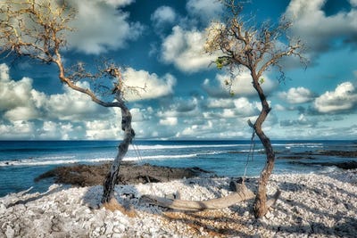 Seaside Swing by Dennis Frates canvas print