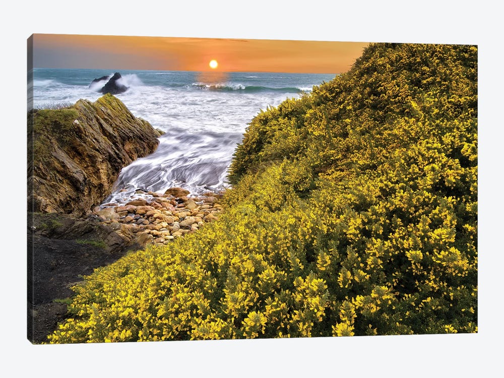 Coastal Sunset I by Dennis Frates 1-piece Canvas Art Print