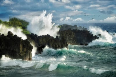 Storm Waves by Dennis Frates canvas print