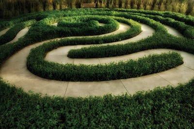 Canvas Print: Laberinth by Dennis Frates - thumbnail