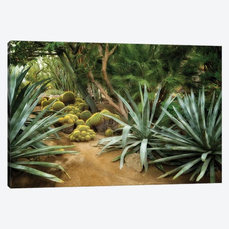 Cactus Gaden II Canvas Print #DEN747} by Dennis Frates Canvas Art