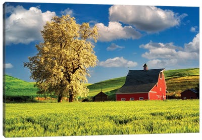 Red Barn Canvas Art Print - Country Scenic Photography