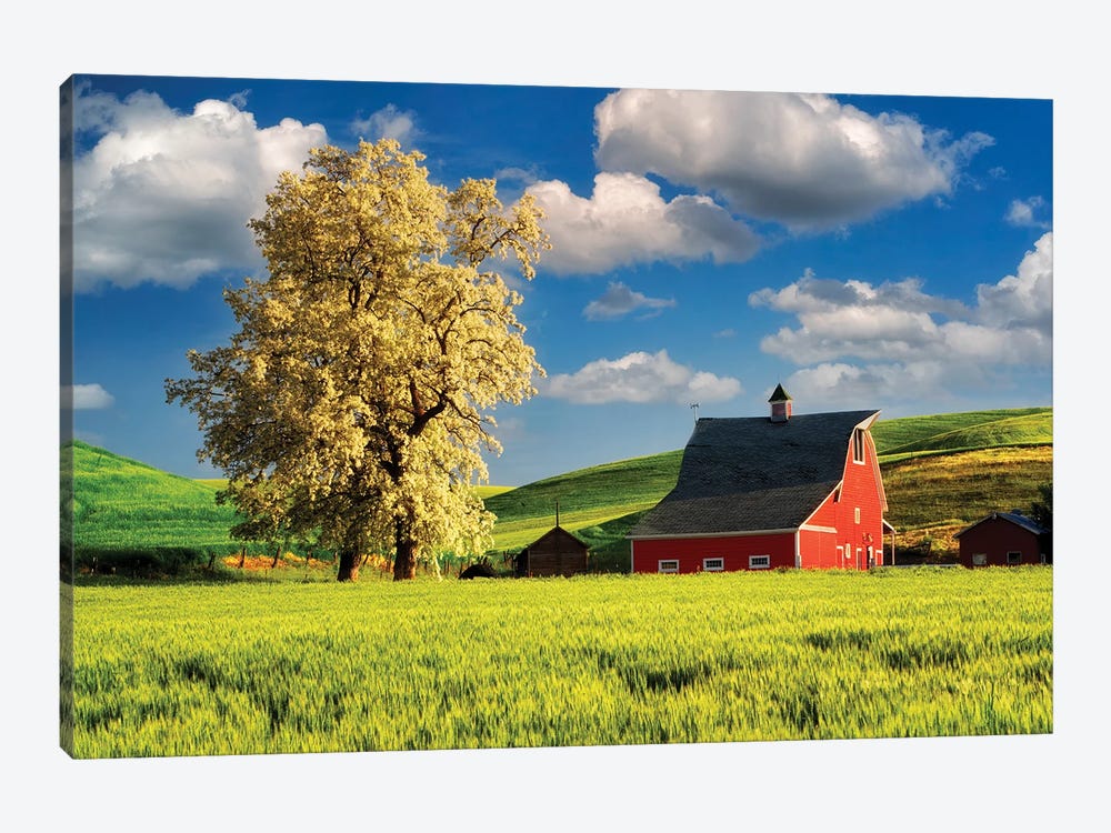Red Barn by Dennis Frates 1-piece Canvas Print