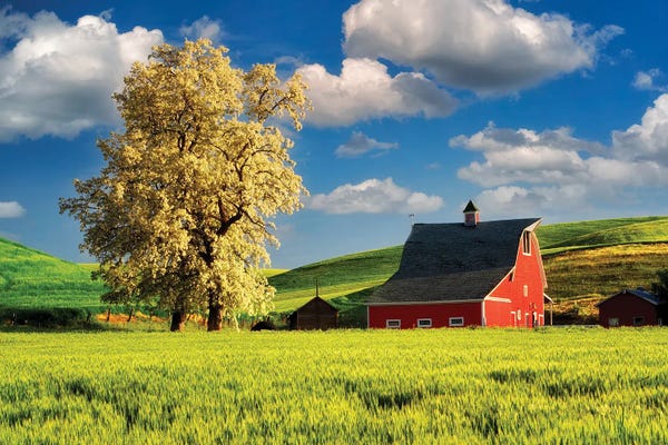 Photography: Red Barn by Dennis Frates