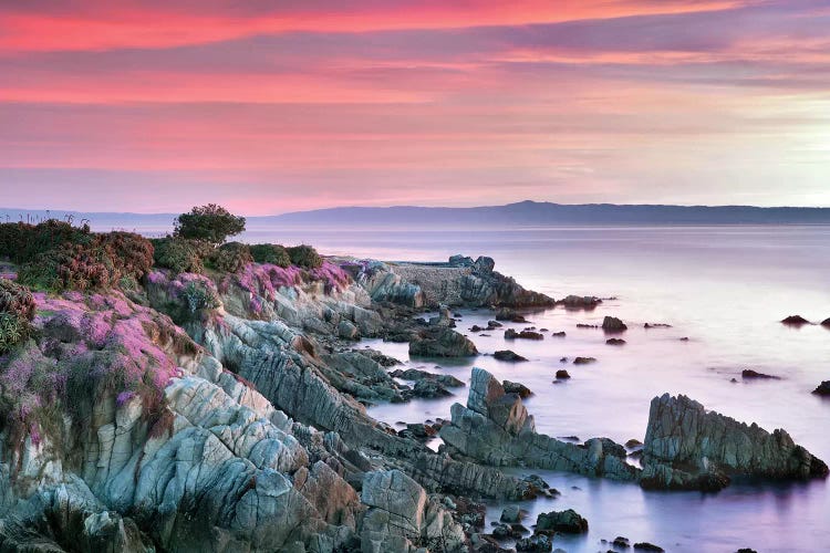 Coastal Wildflowers by Dennis Frates wall art