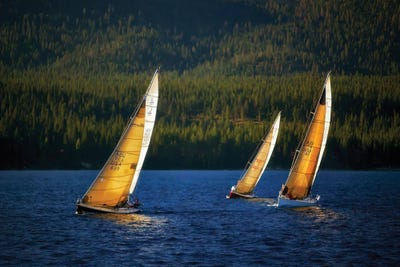 Sailboats by Dennis Frates canvas print