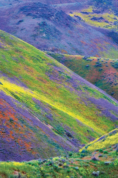 Painted Hills