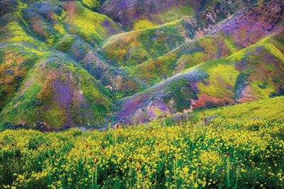 Painted Hills II by Dennis Frates canvas print