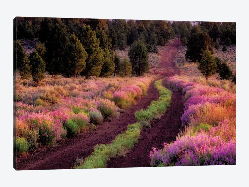 Lupine Lined Road by Dennis Frates 1-piece Art Print