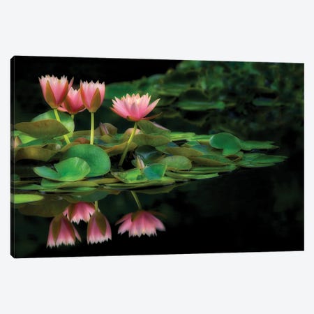 Lily Reflection Canvas Print #DEN773} by Dennis Frates Canvas Art